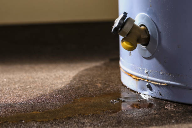 Best Water damage restoration insurance claims  in Elizabeth, PA