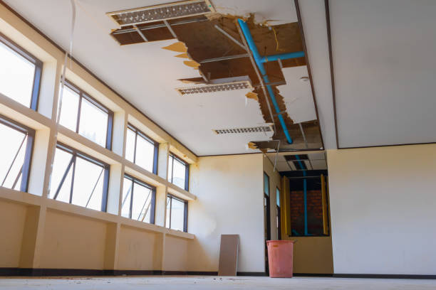 Reliable Elizabeth, PA Water damage restoration Solutions
