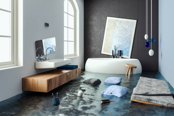 Best Mold removal after water damage  in Elizabeth, PA