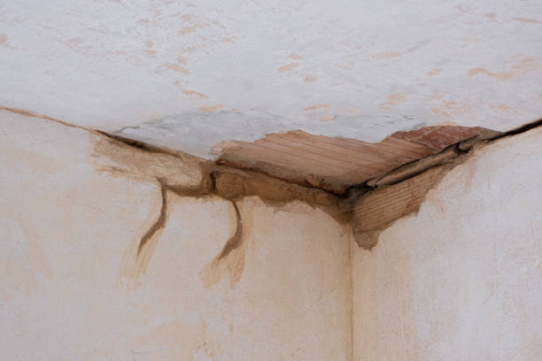 Water damage restoration insurance claims in Elizabeth, PA