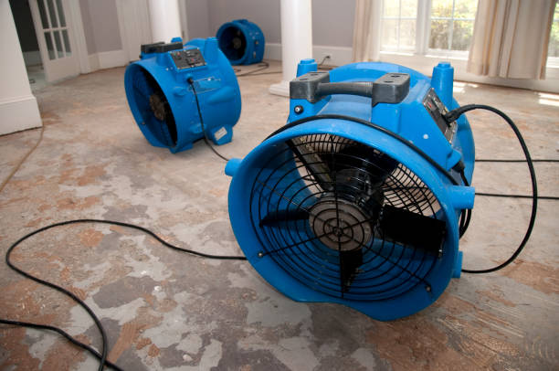 Best Water damage restoration process  in Elizabeth, PA