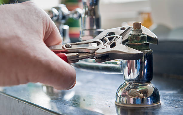 Best Mold removal after water damage  in Elizabeth, PA