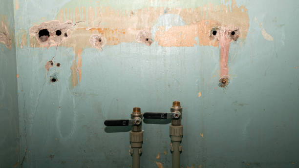 Best Water damage repair service  in Elizabeth, PA