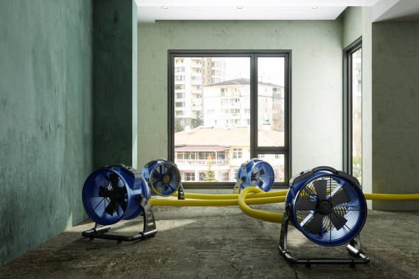 Best Carpet water damage restoration  in Elizabeth, PA